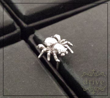 �V���o�[�A�N�Z�T���[�w偃X�p�C�_�[���`�[�t