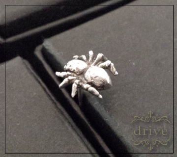 �V���o�[�A�N�Z�T���[�w偃X�p�C�_�[���`�[�t